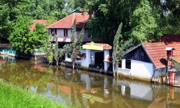 Inondations : conséquences psychologiques et soutien aux victimes