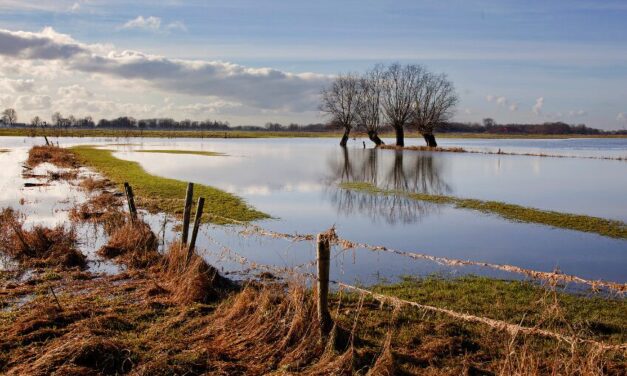 Inondations et agriculture : repenser les pratiques pour une meilleure gestion de l’eau