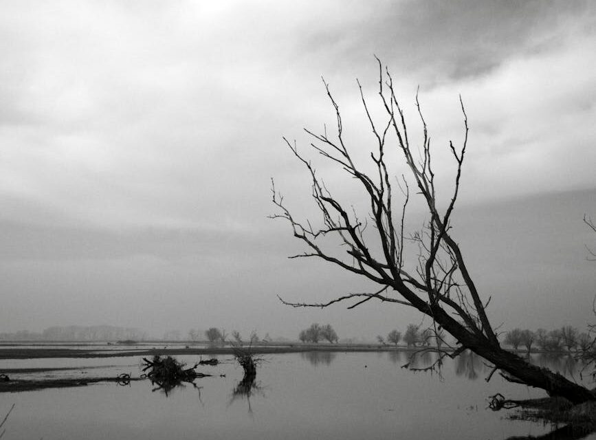 Inondations et agriculture : repenser les pratiques pour une meilleure gestion de l’eau