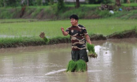 Inondations en Belgique : comment protéger sa maison et sa famille