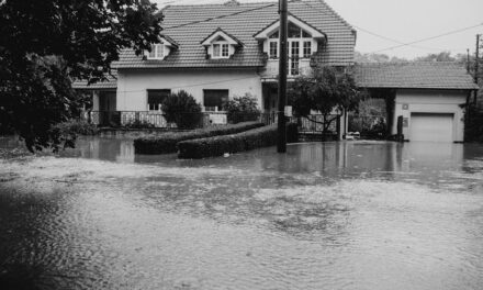 Inondations en Belgique : checklist ultime pour préparer votre maison