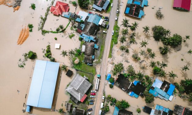 Inondations et sols imperméables : un cercle vicieux à briser en Belgique