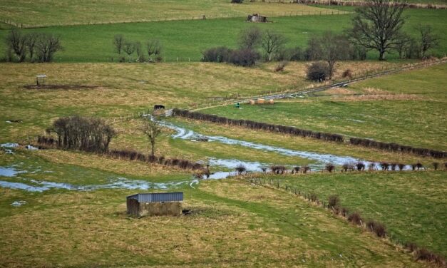 Inondations en Belgique : cartographie des zones à risque pour une meilleure prévention